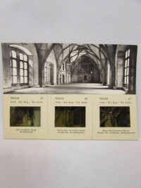 kolektiv, autorů, Praha: Hrad - Die Burg - The Castle , 1966