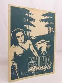 kolektiv, autorů, Kniha džunglí, 0